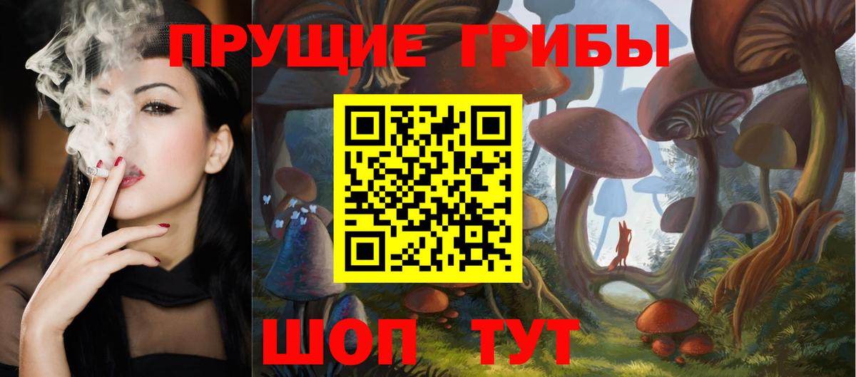 Галлюциногенные грибы MAGIC MUSHROOMS  Вход с VPN  Химки 